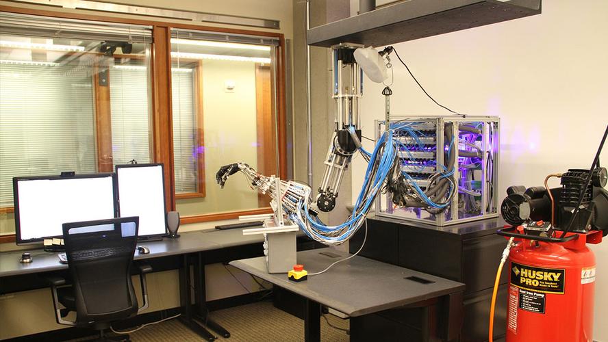 Academy Research Team Publishes Breakthrough Study in Nature AI